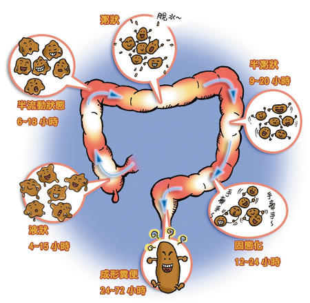 不良生活方式 <a href=