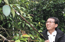 天然古早味 Ｑ凍<a href=