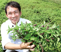 創意吃法吸睛 <a href=