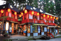 南投溪頭杉林好愜意 妖怪村探險