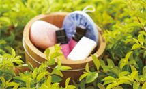 做好基礎保養 保養品不用每季換