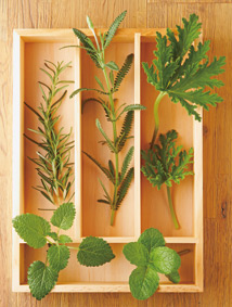 四大殺手 破壞你的水嫩肌(下)