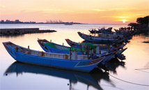 淡水河岸風情紅樹林生態遊