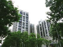 陸空雙港建設動工 皇翔實質受惠48829