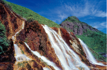 水金九冬霧芒花 九份憶黃金歲月