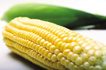 像水果一樣甜的水果玉米