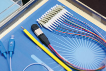 元月行情鎖定<a href=