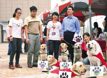 站在左邊的天使