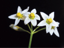 保養品的效用 到底有多少?49414