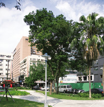 2013年商辦行情 地上權將獨領風騷49417