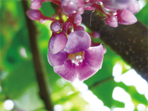 皮膚是活的 保養可別不變應萬變