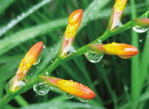 敏感性膚質要如何改善？