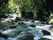 短期避暑旅遊～溯溪