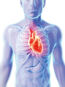 最易輕忽的 心肌梗塞