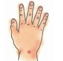 我要紅潤氣色! 拒當冰棒女孩51194