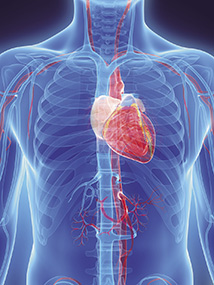 冷氣團再度發威 小心塞住了！