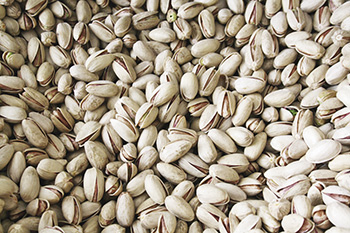 過年也要為您的「健康」把關