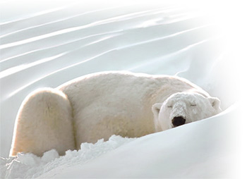 氣溫驟變 你準備好應對了嗎？