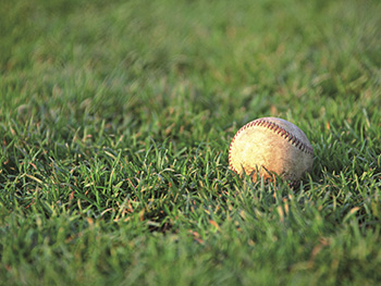 從「打棒球理論」看<a href=