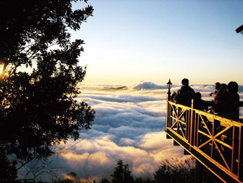 苗栗十大休閒農業區趴趴走