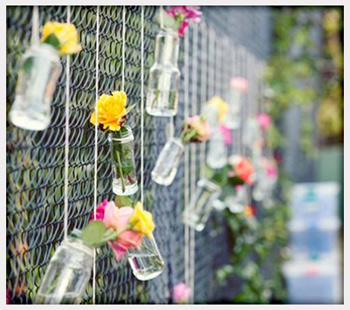 租屋別像住狗窩