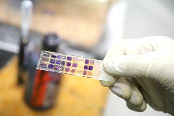 【趨勢 13 】人類永為瘟疫所擾 <a href=