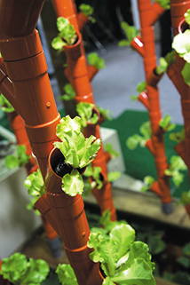 簡單做個自耕農