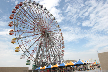 紅心輪動加速 射鏢15檔黑馬股53948