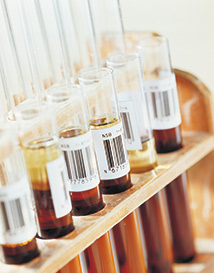 健康回饋保險金 愈健康領愈多54178