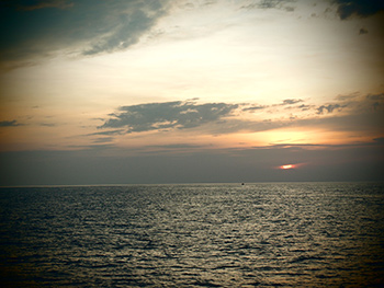 守護海洋 永不嫌晚