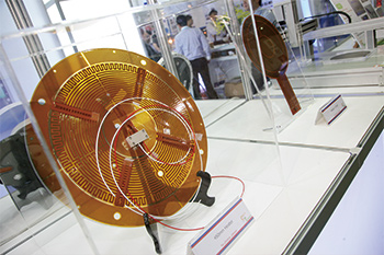 熊出沒！全球股災你怎麼辦？54943