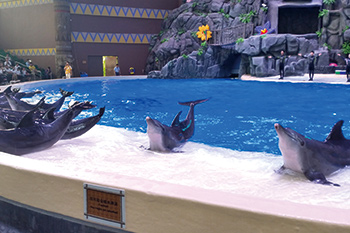 海豚照鏡子 海豚池照見人心