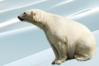 福斯事件 40檔電動車概念股飛上天55150