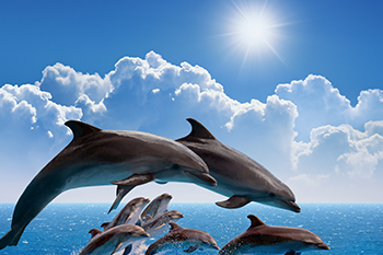 熱錢點火新興亞股 延燒台灣!55239