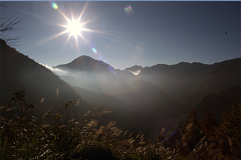 從陽光普照 看鏢股績效55551