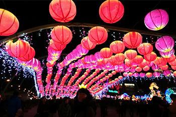 8檔華燈初上 看鏢！56111