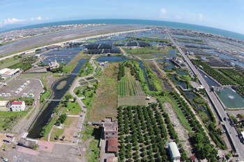 綠能科技邁大步 經濟發展創新局56583