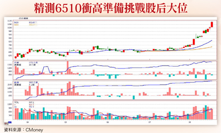 新股半年報大體檢 魚目與明珠並列  精測等八檔大成長 銘鈺等七檔衰退57106