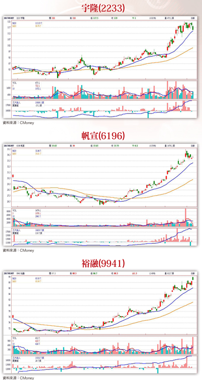 成長型金雞  法人逆勢布局58133