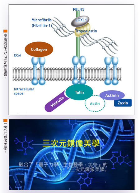 鴻康生醫三次元鏡像<a href=