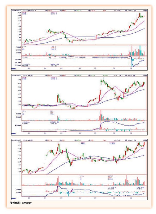 大數據鏢股64031